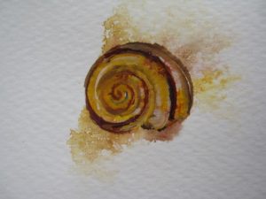 snail from thrush with snail