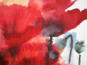 detail of poppies 2