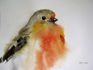 Robin watercolour