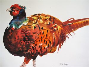 Pheasant watercolour