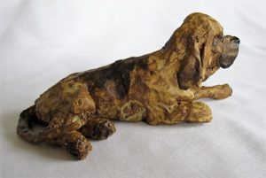small bloodhound from right