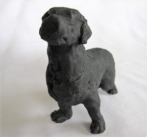 Black Labrador