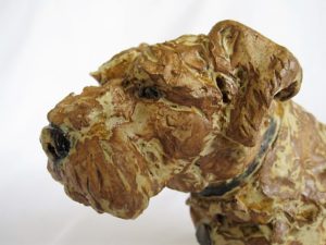 border terrier head