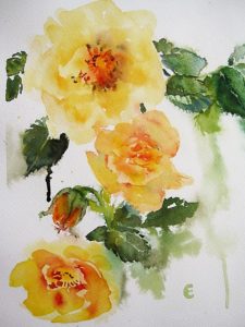 Yellow roses