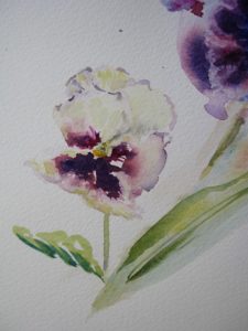 Tulip With Pansy Detail