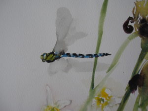 Dragonfly with Spring Flowers