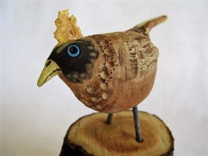 tuffty bird mounted on wood