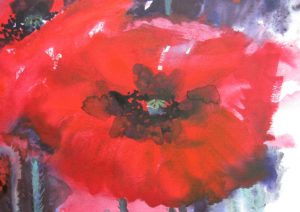 close up of poppy from poppies 3