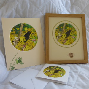 blackbird, frames, mounts, greeting cards