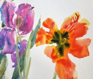 detail of three tulips