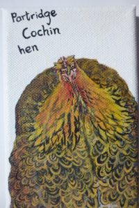 Partridge Cochin Hen