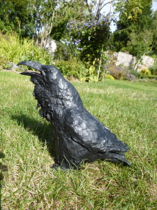 crow on grass