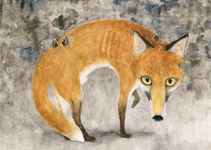 fox, giclee print