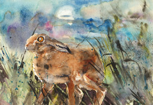 Hare in moonlight