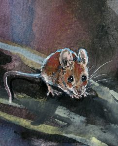 detail of little mouse in big woods