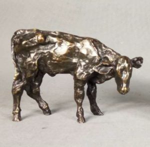 dairy calf: bronze