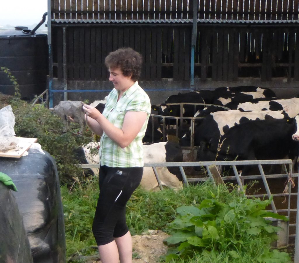 sculpting the cow