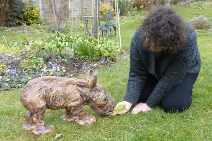 Feeding-baby-rhino – Ellen Cooper Art