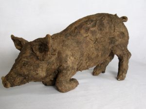 kneeling Tamworth pig from side