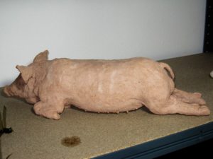 prostrate pig