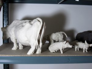 pigs and cows on drying shelf