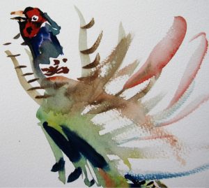 pheasant detail