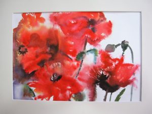 poppies