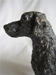 head of retriever