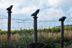 crow sculpturew