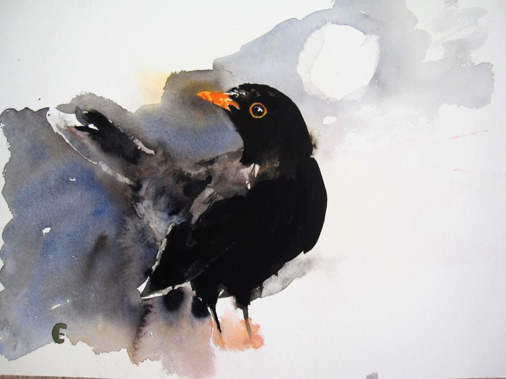 Blackbird 2