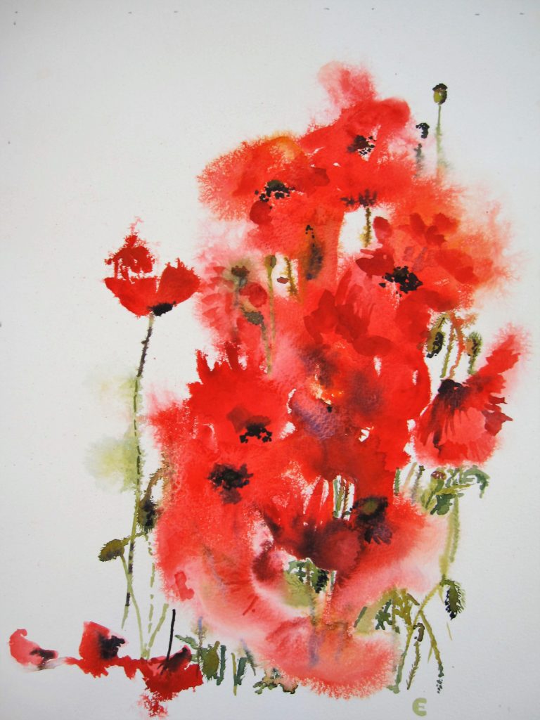 Field Poppies