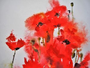 Field Poppies