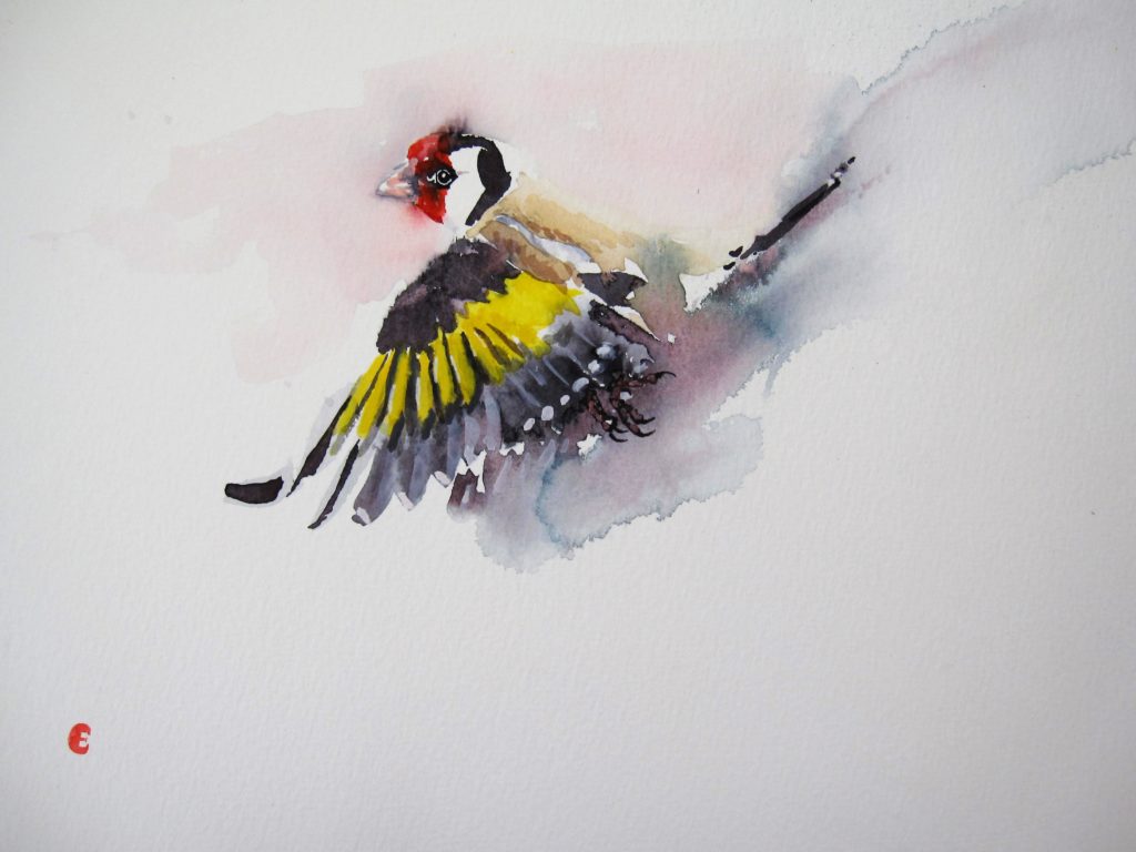 Goldfinch