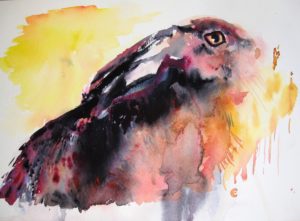 Hare in dawn Light