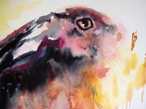 Hare watercolour detail