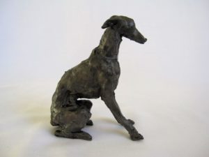 Italian Greyhound 1