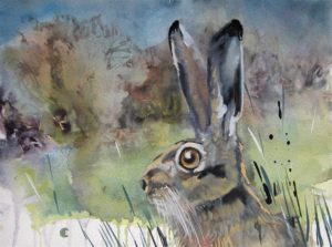 Hare in Field