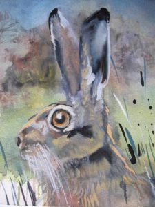 Hare in Field Detail