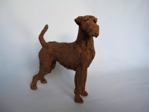 Irish terrier